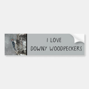 Adesivo Para Carro Downy Woodpecker em Neve - Foto Original
