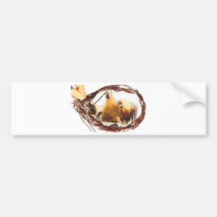 Adesivo Para Carro Dreamcatcher