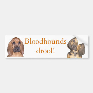 Adesivo Para Carro Drool dos Bloodhounds!