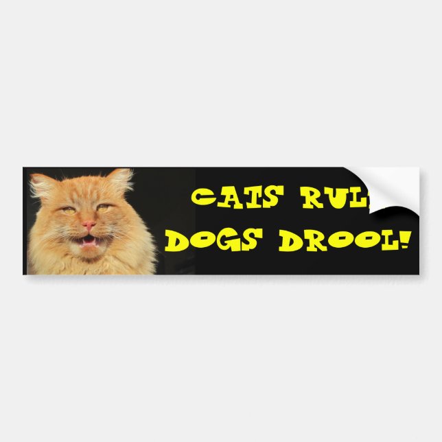 Adesivo Para Carro Drool dos cães da regra dos gatos (Frente)