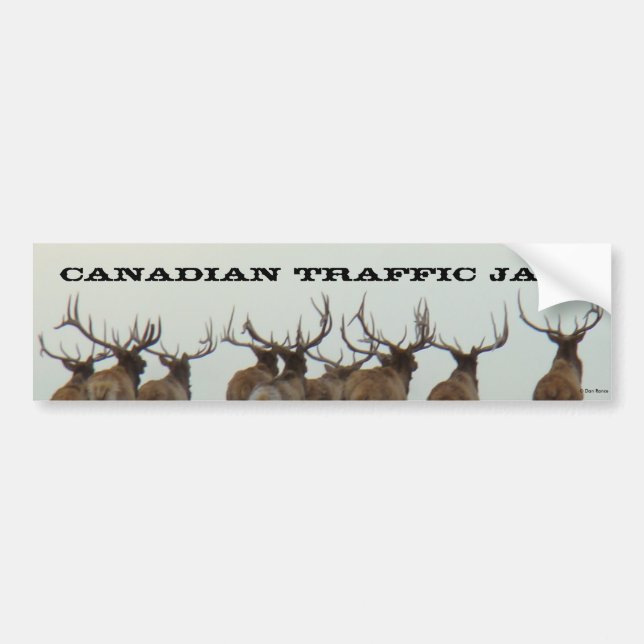 Adesivo Para Carro E17 Bull Elk Running (Frente)