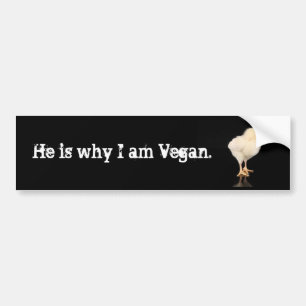 Adesivo Para Carro é porque eu sou vegan