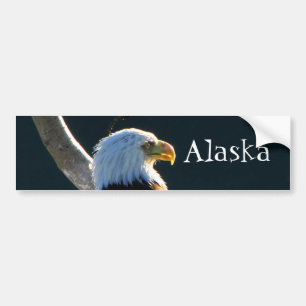 Adesivo Para Carro Eagle na atenção; Alaska