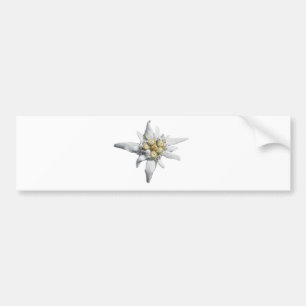 Adesivo Para Carro Edelweiss