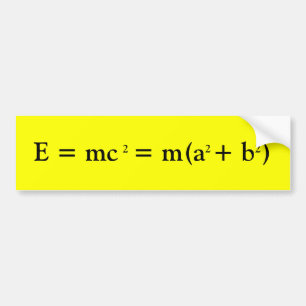 Adesivo Para Carro Einstein e Pythagoras