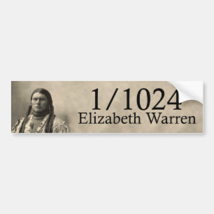 Adesivo Para Carro Elizabeth Warren 1/1024 de nativo americano