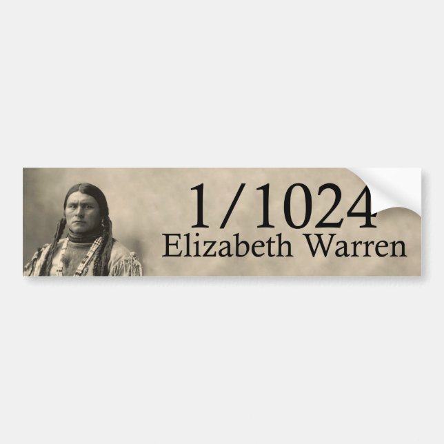 Adesivo Para Carro Elizabeth Warren 1/1024 de nativo americano (Frente)