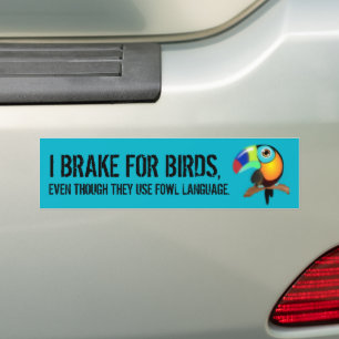 Adesivo Para Carro Engraçado Eu Braço Para Pássaros Mesmo Que Eles Us