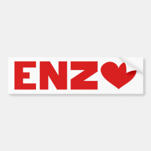 Adesivo Para Carro Enzo Love