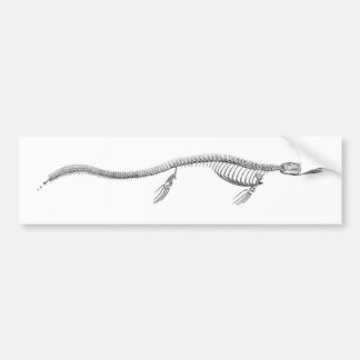 Adesivo Para Carro Esqueleto de Tylosaurus