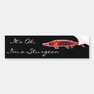 Adesivo Para Carro Está bem, sou um Sturgeon