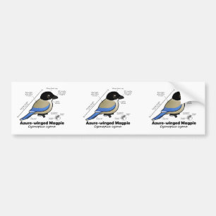 Adesivo Para Carro estatísticas Azure-voadas do Magpie