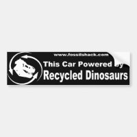 este carro psto pelo bumperstick dos dinossauros
