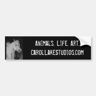 Adesivo Para Carro Estúdios Bumpersticker do lago carol