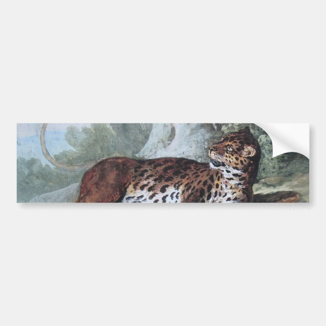 Adesivo Para Carro Estudo de um Leopardo (por Jean-Baptiste Oudry) (Frente)