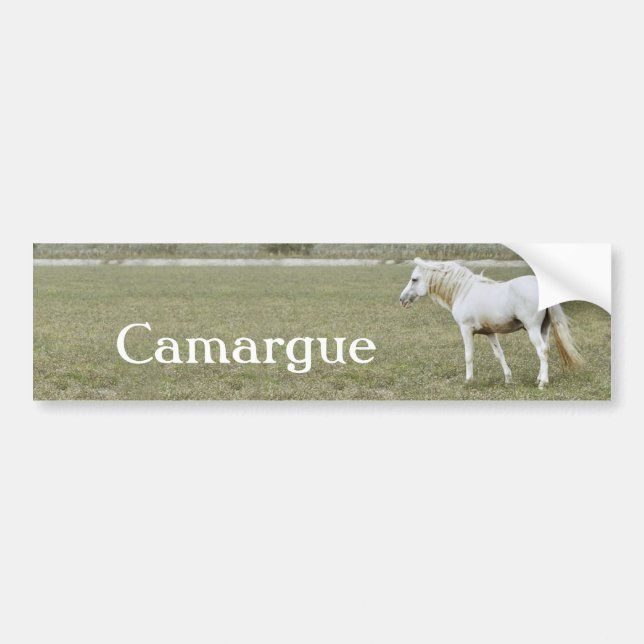 Adesivo Para Carro Etiqueta de Camargue (Frente)