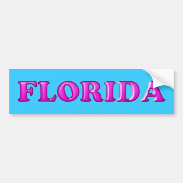 Adesivo Para Carro Etiqueta do Florida-Pára-choque (Frente)