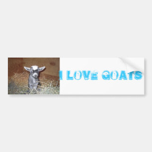 Adesivo Para Carro eu amo cabras