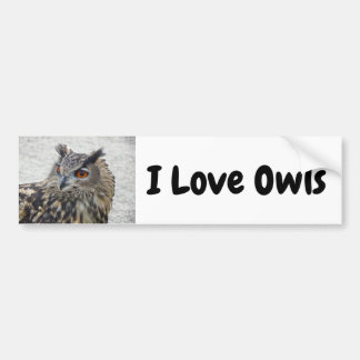Adesivo Para Carro Eu Amo Coruja Bumper Sticker