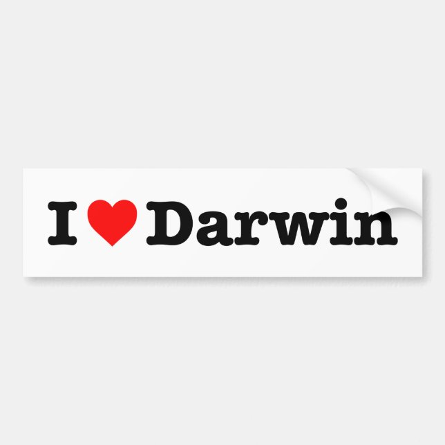 ADESIVO PARA CARRO "EU AMO DARWIN " (Frente)