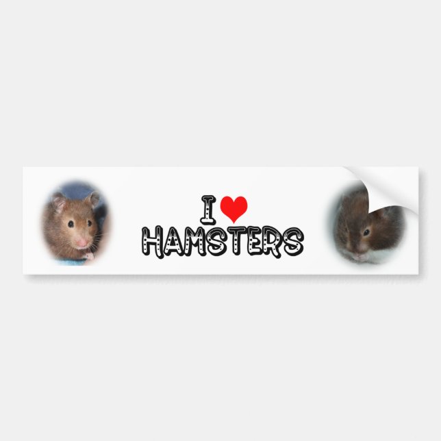 Adesivo Para Carro Eu amo hamster (Frente)