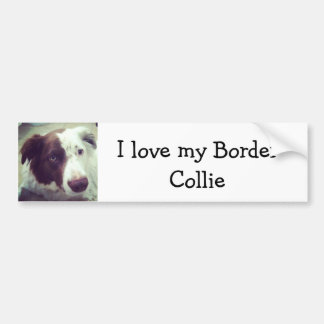 Adesivo Para Carro Eu amo meu border collie