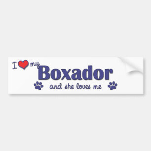Adesivo Para Carro Eu amo meu Boxador (o cão fêmea)