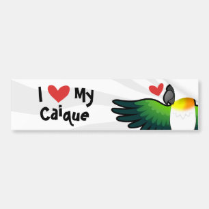 Adesivo Para Carro Eu Amo Meu Caique / Papagaio do Amor / Pionus / Pa