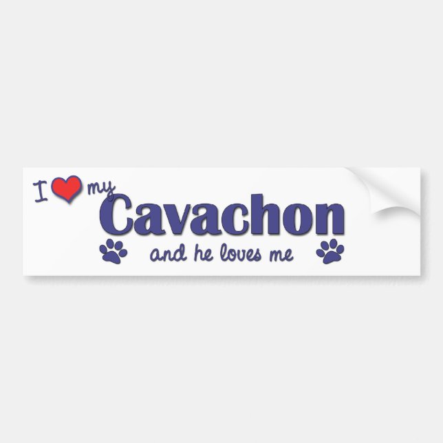 Adesivo Para Carro Eu amo meu Cavachon (o cão masculino) (Frente)