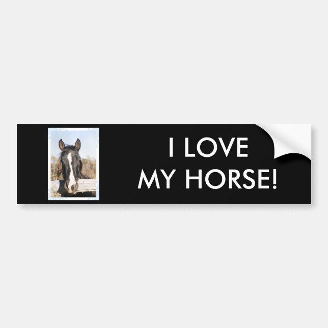 ADESIVO PARA CARRO EU AMO MEU CAVALO! (Frente)