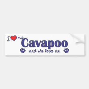 Adesivo Para Carro Eu amo meu Cavapoo (o cão fêmea)