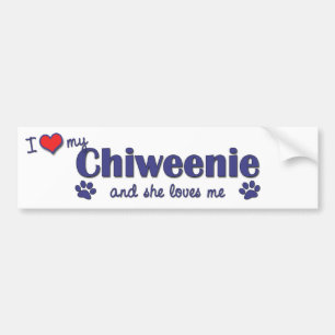 Adesivo Para Carro Eu amo meu Chiweenie (o cão fêmea)