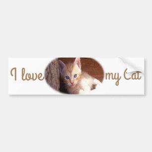 Adesivo Para Carro Eu amo meu Gato Bumper Sticker