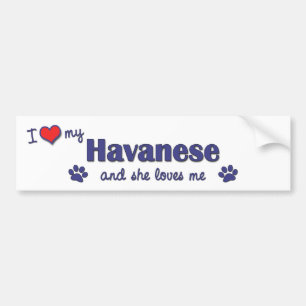 Adesivo Para Carro Eu amo meu Havanese (o cão fêmea)
