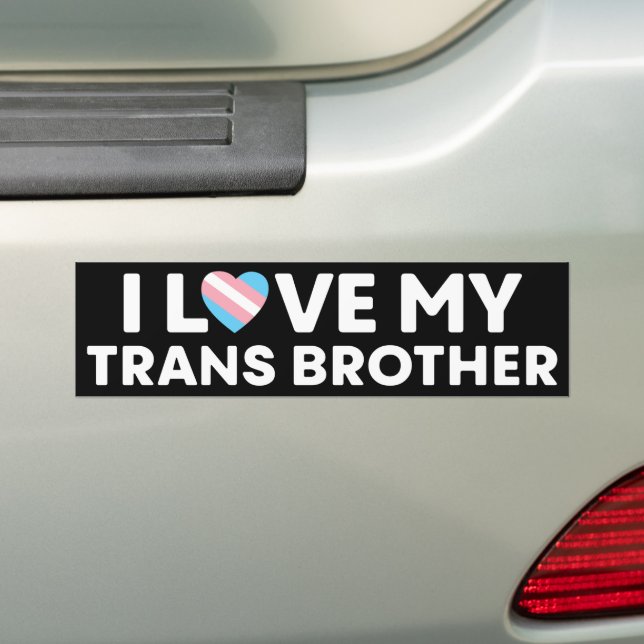 Adesivo Para Carro Eu Amo Meu Irmão Transgênero LGBT Trans (No carro)