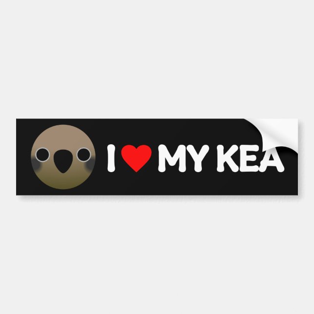ADESIVO PARA CARRO EU AMO MEU KEA (Frente)
