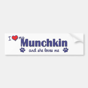 Adesivo Para Carro Eu amo meu Munchkin (o gato fêmea)