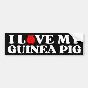 Adesivo Para Carro eu amo meu PIG GUINÉ