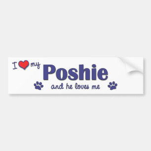 Adesivo Para Carro Eu amo meu Poshie (o cão masculino)