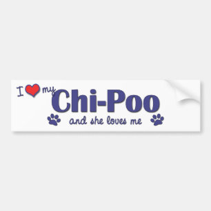 Adesivo Para Carro Eu amo meu Qui-Poo (o cão fêmea)