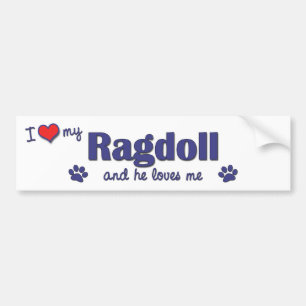 Adesivo Para Carro Eu amo meu Ragdoll (o gato masculino)