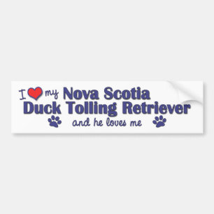 Adesivo Para Carro Eu amo meu Retriever anunciando do pato de Nova