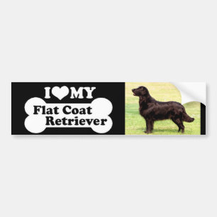 Adesivo Para Carro Eu amo meu Retriever revestido liso