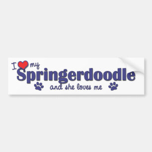 Adesivo Para Carro Eu amo meu Springerdoodle (o cão fêmea)