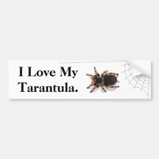 Adesivo Para Carro Eu amo meu Tarantula