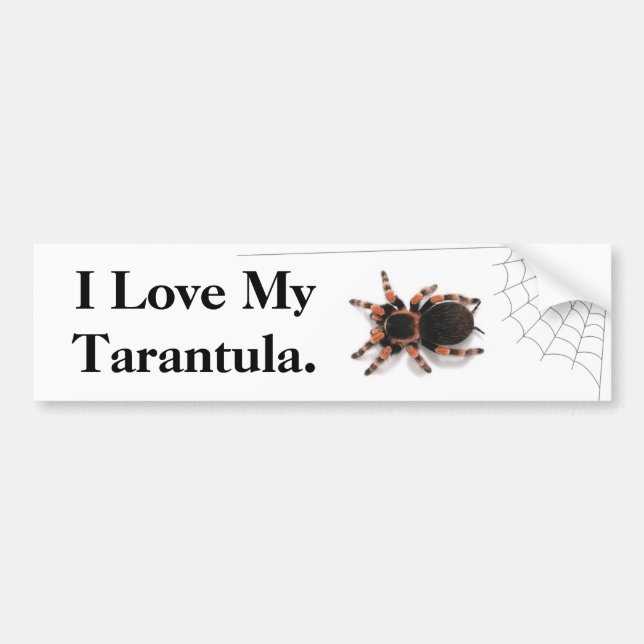 Adesivo Para Carro Eu amo meu Tarantula (Frente)