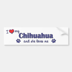 Adesivo Para Carro Eu amo minha chihuahua (o cão fêmea)