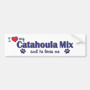 Adesivo Para Carro Eu amo minha mistura de Catahoula (o cão