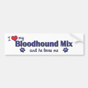 Adesivo Para Carro Eu amo minha mistura do Bloodhound (o cão