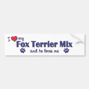 Adesivo Para Carro Eu amo minha mistura do Fox Terrier (o cão